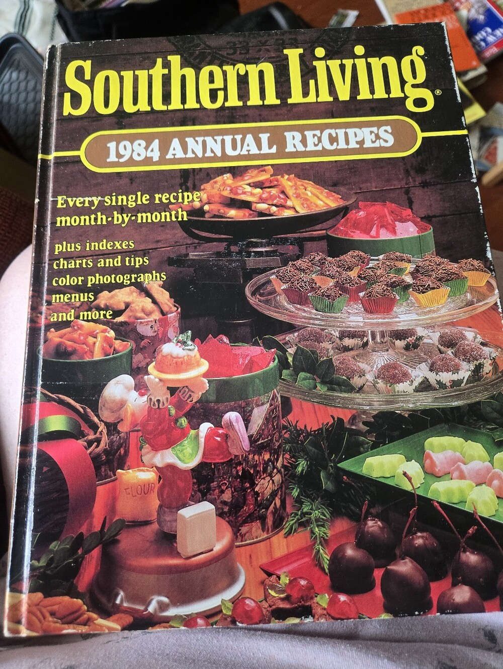 Southern Living 1984 Annual Recipes